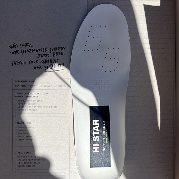 Hi-Star Golden Goose - Picture 7 of 12